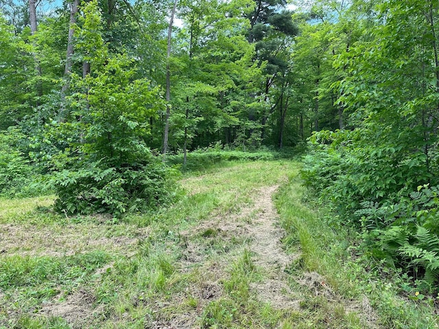 TBD Tamarac Rd, Onamia, MN 56353