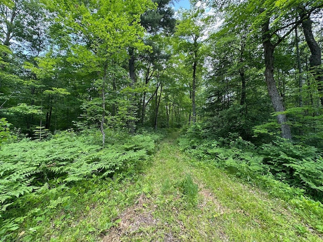 TBD Tamarac Rd, Onamia, MN 56353