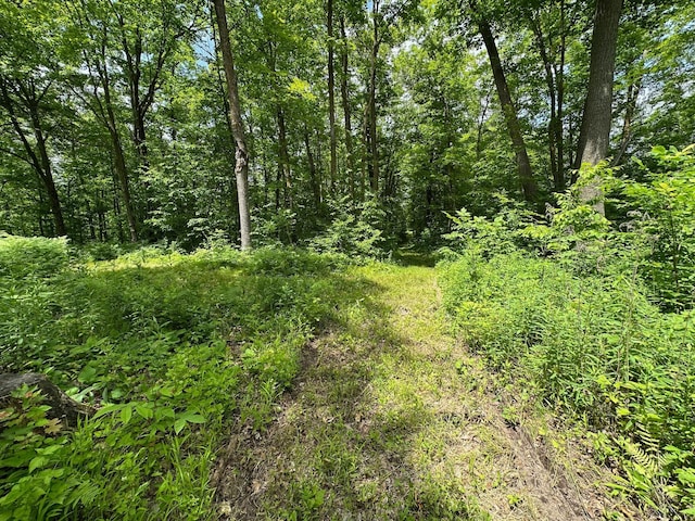 TBD Tamarac Rd, Onamia, MN 56353