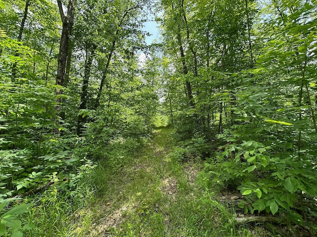 TBD Tamarac Rd, Onamia, MN 56353