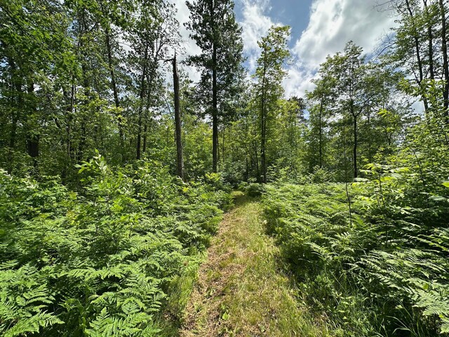 TBD Tamarac Rd, Onamia, MN 56353