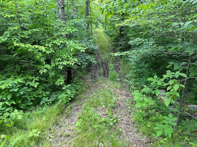 TBD Tamarac Rd, Onamia, MN 56353