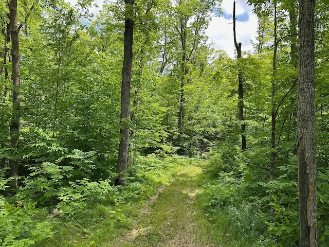 TBD Tamarac Rd, Onamia, MN 56353