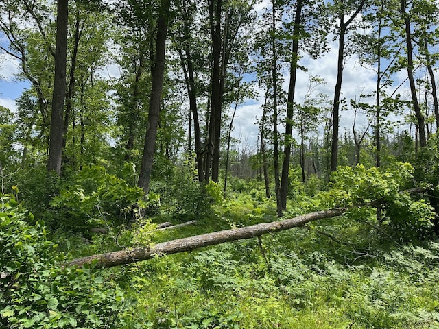 TBD Tamarac Rd, Onamia, MN 56353