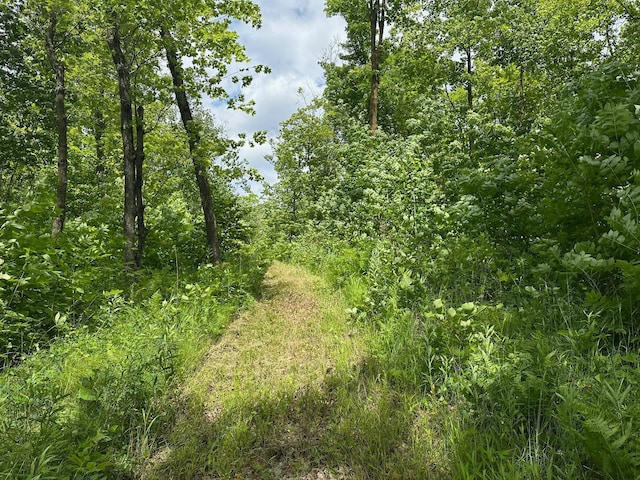 TBD Tamarac Rd, Onamia, MN 56353