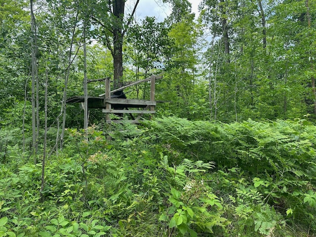 TBD Tamarac Rd, Onamia, MN 56353