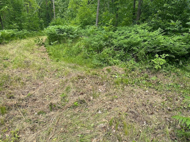 TBD Tamarac Rd, Onamia, MN 56353