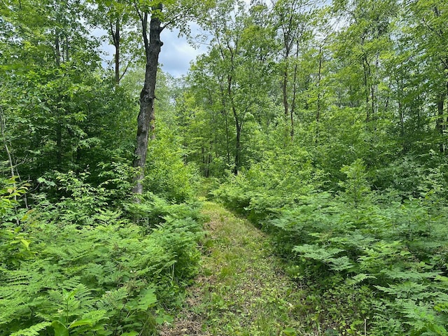 TBD Tamarac Rd, Onamia, MN 56353