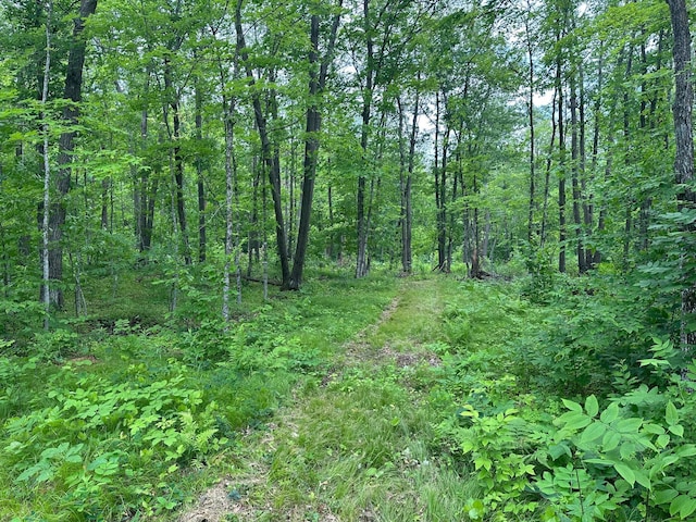 TBD Tamarac Rd, Onamia, MN 56353