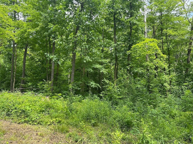 TBD Tamarac Rd, Onamia, MN 56353