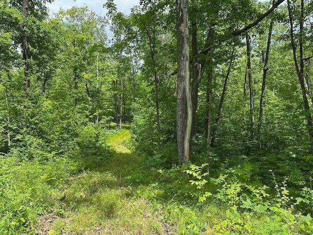 TBD Tamarac Rd, Onamia, MN 56353
