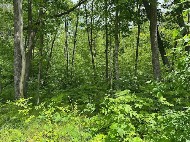 TBD Tamarac Rd, Onamia, MN 56353