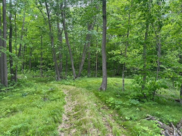TBD Tamarac Rd, Onamia, MN 56353