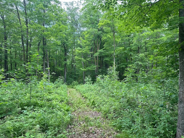 TBD Tamarac Rd, Onamia, MN 56353