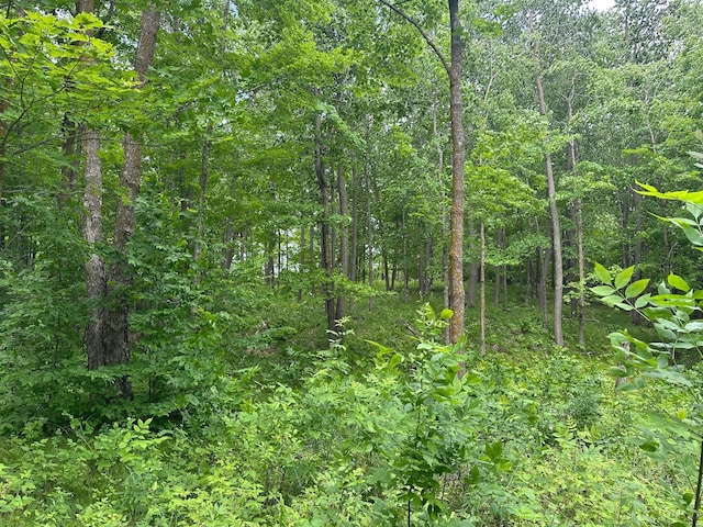 TBD Tamarac Rd, Onamia, MN 56353