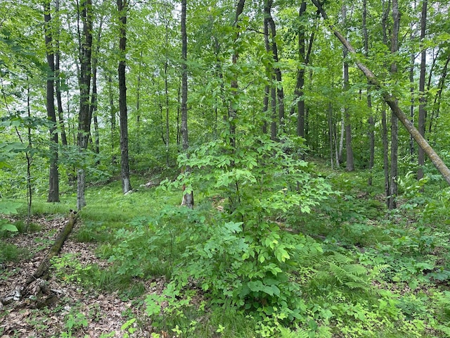 TBD Tamarac Rd, Onamia, MN 56353