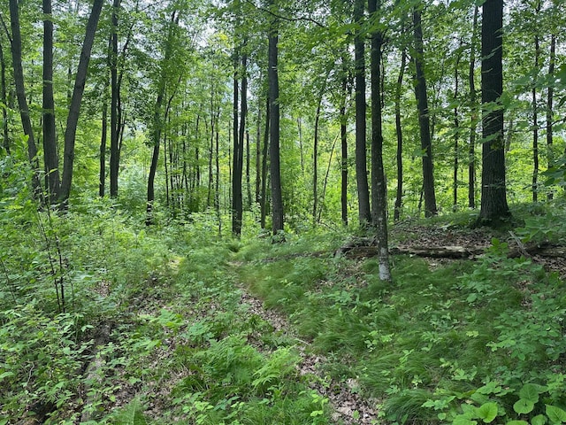 TBD Tamarac Rd, Onamia, MN 56353