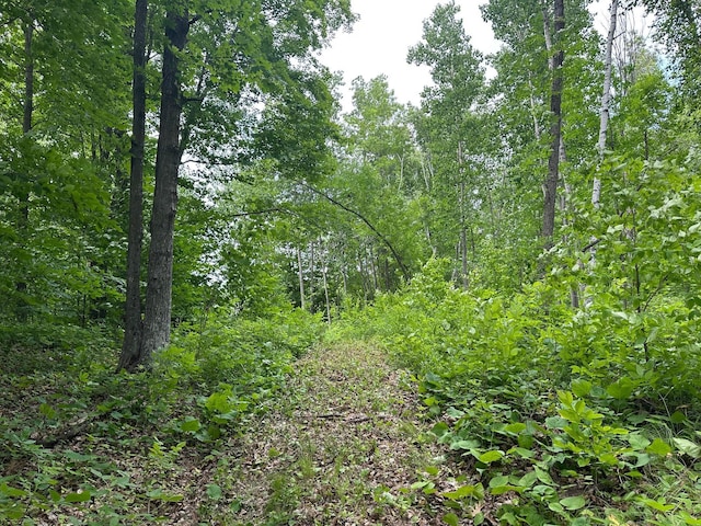 TBD Tamarac Rd, Onamia, MN 56353