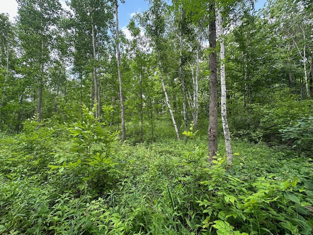 TBD Tamarac Rd, Onamia, MN 56353