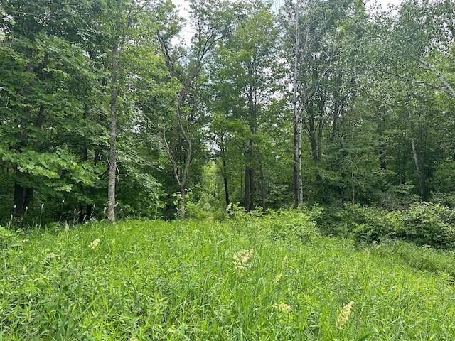 TBD Tamarac Rd, Onamia, MN 56353