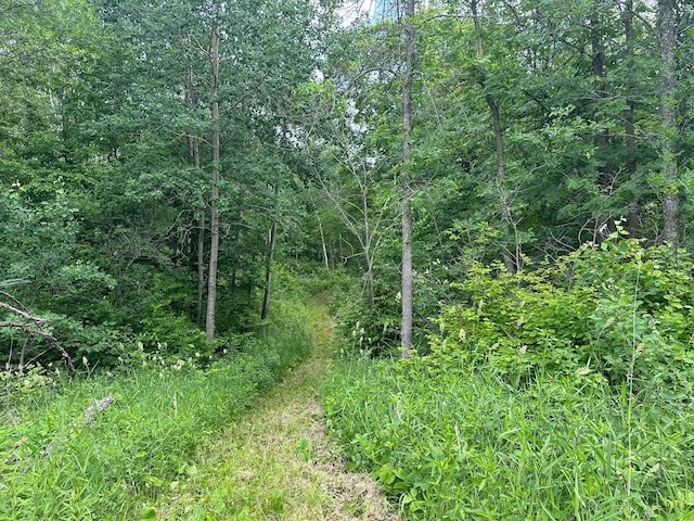 TBD Tamarac Rd, Onamia, MN 56353