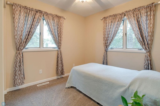 604 2nd Ave S, Kindred, ND 58052 - bedroom with multiple windows and carpet flooring