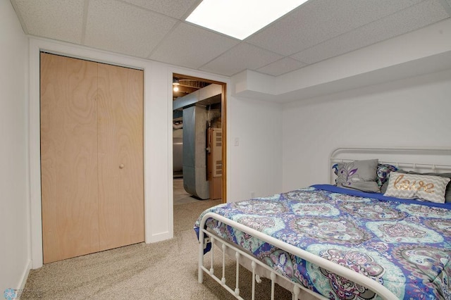 604 2nd Ave S, Kindred, ND 58052 - bedroom featuring carpet, a drop ceiling, and a closet