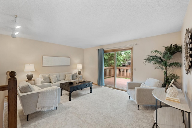 6722 116th Cir, Champlin, MN 55316 - living room featuring a textured ceiling and light colored carpet
