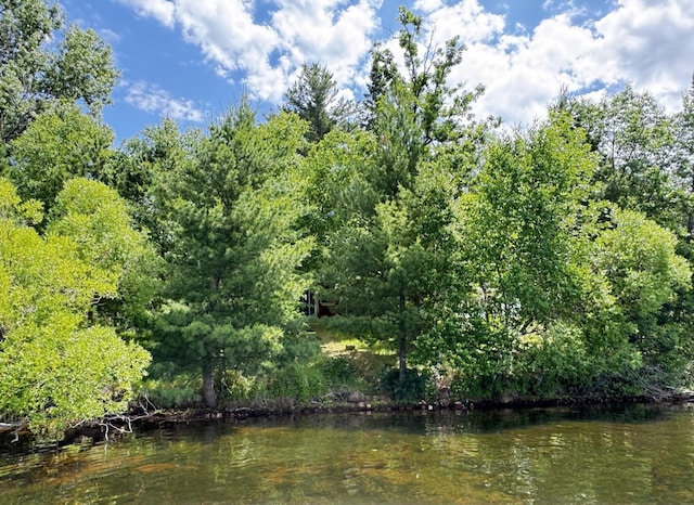 15019 Woodland Beach Ln, Deerwood, MN 56444 - photo 10