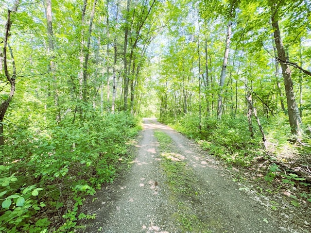 15019 Woodland Beach Ln, Deerwood, MN 56444 - photo 34