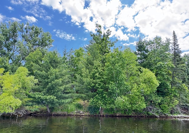 15019 Woodland Beach Ln, Deerwood, MN 56444 - photo 35