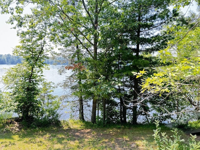 15019 Woodland Beach Ln, Deerwood, MN 56444 - photo 8