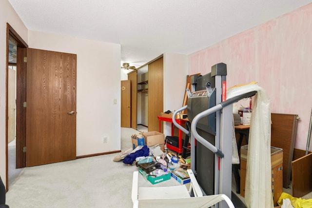 1887 Silver Bell Rd Unit 115, Eagan, MN 55122 - exercise area featuring carpet and a ceiling fan