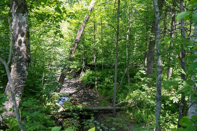 00 Riverside Rd, Moose Lake Twp, MN 55767