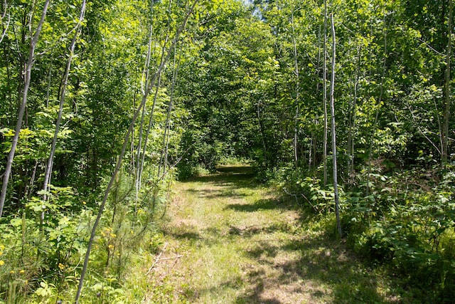 00 Riverside Rd, Moose Lake Twp, MN 55767