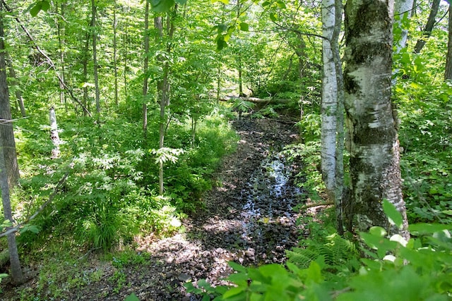 00 Riverside Rd, Moose Lake Twp, MN 55767