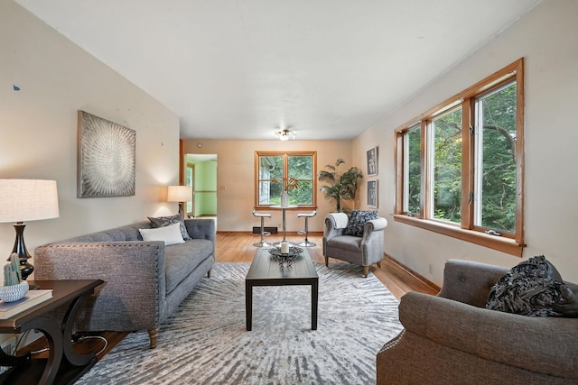 6398 Osman Ave N, Oak Park Heights, MN 55082 - living area featuring plenty of natural light and wood finished floors