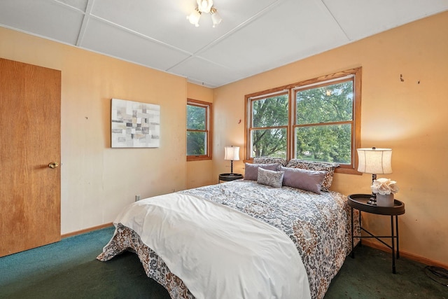 6398 Osman Ave N, Oak Park Heights, MN 55082 - bedroom featuring carpet flooring and baseboards