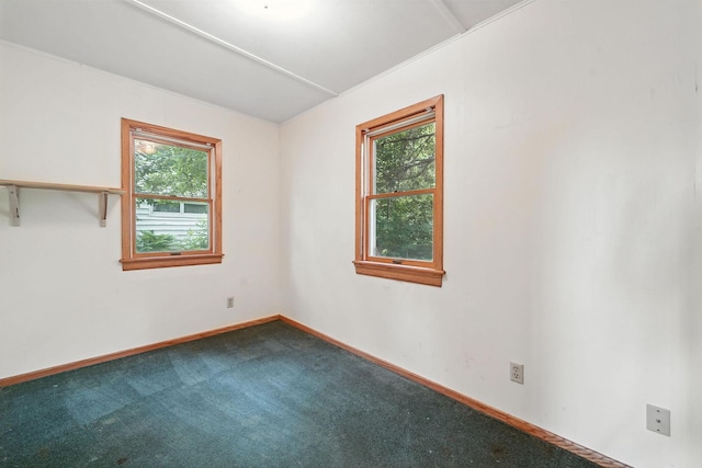6398 Osman Ave N, Oak Park Heights, MN 55082 - spare room featuring healthy amount of natural light and dark colored carpet