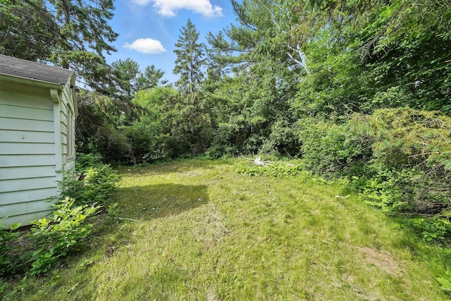 6398 Osman Ave N, Oak Park Heights, MN 55082 - view of grassy yard