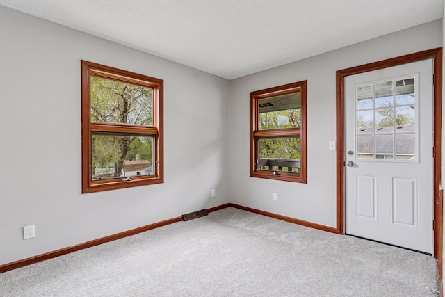 8072 Jocelyn Ave S, Cottage Grove, MN 55016 - entrance foyer with carpet flooring and baseboards