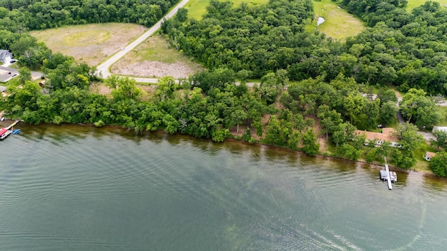 21297LOT3 Broadwater Dr, Scambler Twp, MN 56572 - photo 9