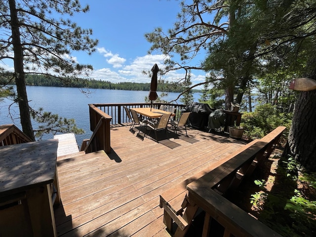 2370 Keyes Is, International Falls, MN 56649 - photo 19