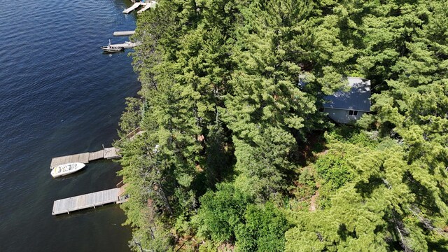 2370 Keyes Is, International Falls, MN 56649 - photo 30
