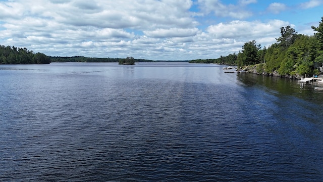 2370 Keyes Is, International Falls, MN 56649 - photo 31