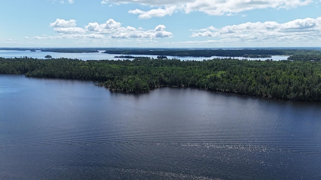 2370 Keyes Is, International Falls, MN 56649 - photo 34