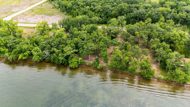 21297LOT4 Broadwater Dr, Scambler Twp, MN 56572 - photo 6