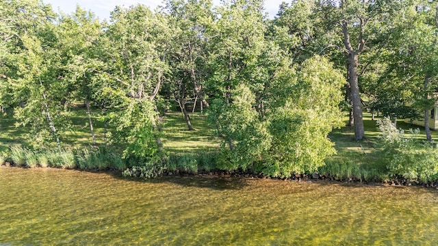 21297LOT4 Broadwater Dr, Scambler Twp, MN 56572 - photo 7