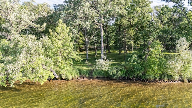 21297LOT4 Broadwater Dr, Scambler Twp, MN 56572 - photo 9