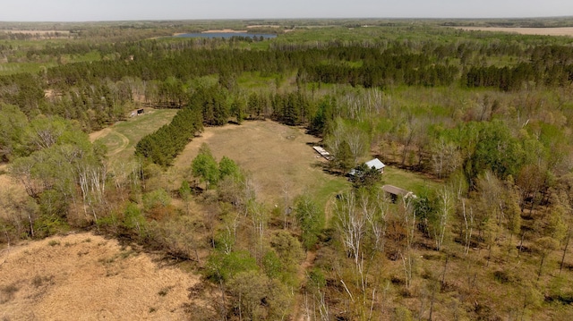1042 48th Ave SW, Backus, MN 56435 - aerial view of a heavily wooded area